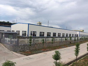 五氟磺草胺廠家 五氟磺草胺廠家